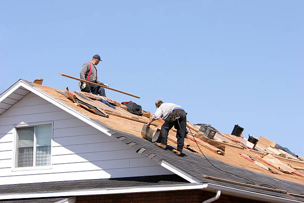 Best Roof Moss and Algae Removal  in Duncan, OK